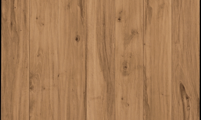 Click to enlarge image EVOKE.png